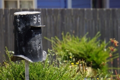 tasmanien 275 copyright piotr nogal