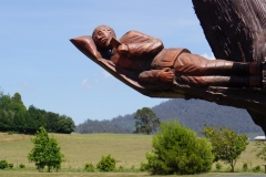 tasmanien 277 copyright piotr nogal tasmanien 277 copyright piotr nogal