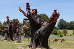 tasmanien 278 copyright piotr nogal tasmanien 278 copyright piotr nogal