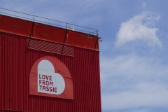 tasmanien 279 copyright piotr nogal tasmanien 279 copyright piotr nogal