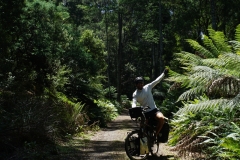 tasmanien 281 copyright piotr nogal tasmanien 281 copyright piotr nogal