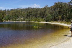tasmanien 282 copyright piotr nogal tasmanien 282 copyright piotr nogal