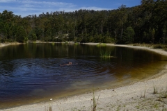 tasmanien 283 copyright piotr nogal tasmanien 283 copyright piotr nogal