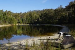 tasmanien 284 copyright piotr nogal tasmanien 284 copyright piotr nogal