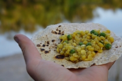 tasmanien 286 copyright piotr nogal tasmanien 286 copyright piotr nogal