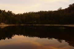 tasmanien 288 copyright piotr nogal tasmanien 288 copyright piotr nogal