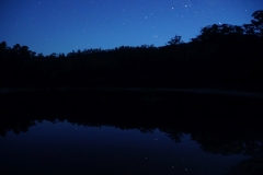 tasmanien 289 copyright piotr nogal tasmanien 289 copyright piotr nogal