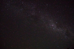 tasmanien 291 copyright piotr nogal tasmanien 291 copyright piotr nogal