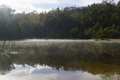 tasmanien 292 copyright piotr nogal tasmanien 292 copyright piotr nogal