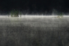 tasmanien 293 copyright piotr nogal tasmanien 293 copyright piotr nogal