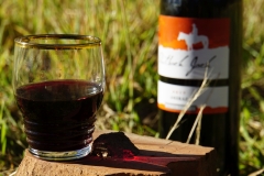 tasmanien 296 copyright piotr nogal tasmanien 296 copyright piotr nogal