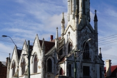 tasmanien 298 copyright piotr nogal tasmanien 298 copyright piotr nogal