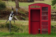 tasmanien 303 copyright piotr nogal tasmanien 303 copyright piotr nogal