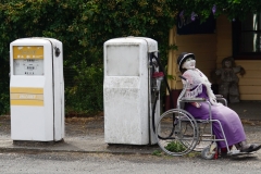 tasmanien 304 copyright piotr nogal tasmanien 304 copyright piotr nogal