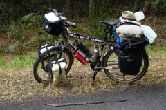 tasmanien 307 copyright piotr nogal tasmanien 307 copyright piotr nogal