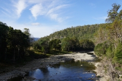 tasmanien 310 copyright piotr nogal tasmanien 310 copyright piotr nogal