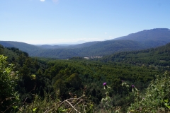 tasmanien 315 copyright piotr nogal tasmanien 315 copyright piotr nogal