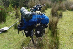 tasmanien 316 copyright piotr nogal tasmanien 316 copyright piotr nogal