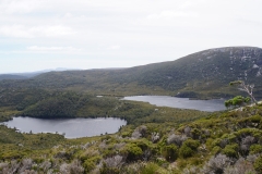 tasmanien 318 copyright piotr nogal tasmanien 318 copyright piotr nogal