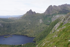 tasmanien 319 copyright piotr nogal tasmanien 319 copyright piotr nogal