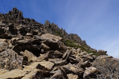 tasmanien 323 copyright piotr nogal tasmanien 323 copyright piotr nogal