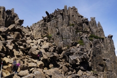 tasmanien 324 copyright piotr nogal tasmanien 324 copyright piotr nogal