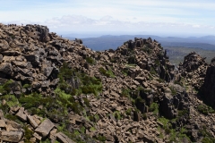 tasmanien 327 copyright piotr nogal tasmanien 327 copyright piotr nogal