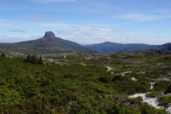 tasmanien 331 copyright piotr nogal tasmanien 331 copyright piotr nogal