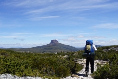 tasmanien 332 copyright piotr nogal tasmanien 332 copyright piotr nogal