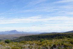 tasmanien 338 copyright piotr nogal tasmanien 338 copyright piotr nogal