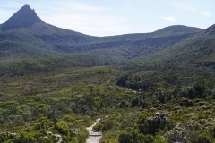 tasmanien 341 copyright piotr nogal tasmanien 341 copyright piotr nogal