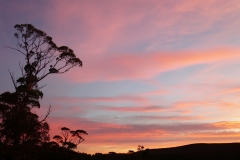 tasmanien 344 copyright piotr nogal tasmanien 344 copyright piotr nogal