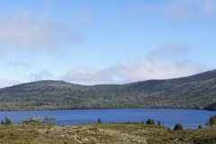 tasmanien 349 copyright piotr nogal tasmanien 349 copyright piotr nogal