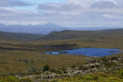 tasmanien 350 copyright piotr nogal tasmanien 350 copyright piotr nogal