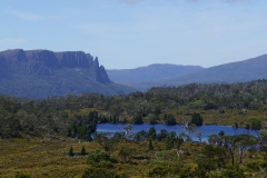 tasmanien 352 copyright piotr nogal tasmanien 352 copyright piotr nogal