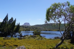 tasmanien 354 copyright piotr nogal tasmanien 354 copyright piotr nogal