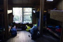 tasmanien 356 copyright piotr nogal tasmanien 356 copyright piotr nogal