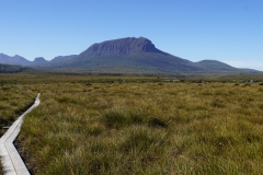 tasmanien 357 copyright piotr nogal tasmanien 357 copyright piotr nogal