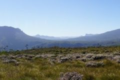 tasmanien 359 copyright piotr nogal tasmanien 359 copyright piotr nogal