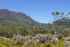 tasmanien 364 copyright piotr nogal tasmanien 364 copyright piotr nogal