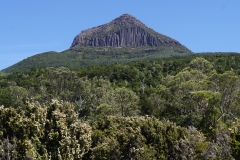tasmanien 366 copyright piotr nogal tasmanien 366 copyright piotr nogal