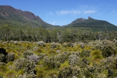 tasmanien 367 copyright piotr nogal tasmanien 367 copyright piotr nogal