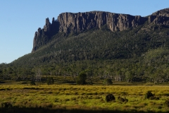 tasmanien 371 copyright piotr nogal tasmanien 371 copyright piotr nogal