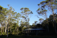 tasmanien 372 copyright piotr nogal tasmanien 372 copyright piotr nogal