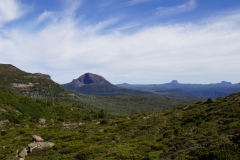 tasmanien 376 copyright piotr nogal