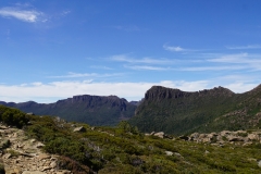 tasmanien 377 copyright piotr nogal