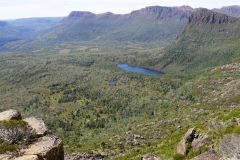 tasmanien 378 copyright piotr nogal