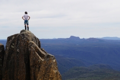 tasmanien 381 copyright piotr nogal