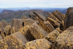 tasmanien 382 copyright piotr nogal