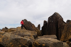 tasmanien 384 copyright piotr nogal